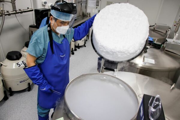 Kids later than sooner. South korean women freeze eggs as child-rearing costs surge