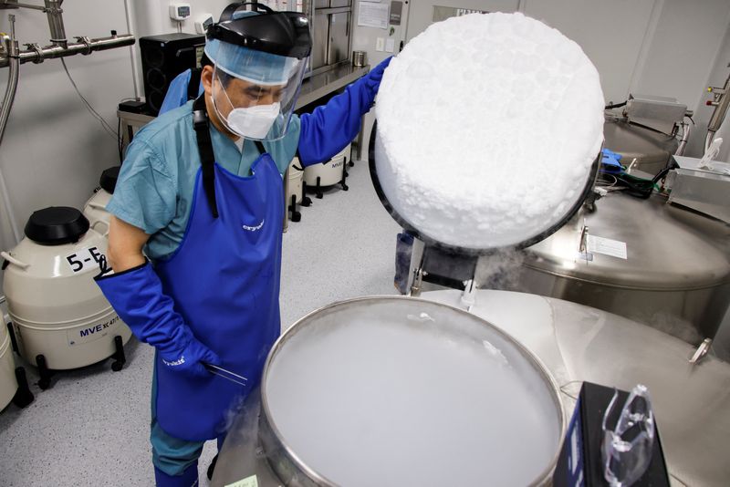 Kids later than sooner. South Korean women freeze eggs as child-rearing costs surge