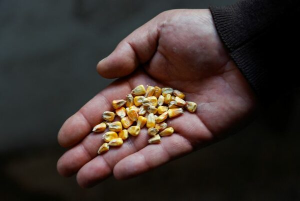 Explainer-u. N. Plan to get ukraine grains out faces hurdles