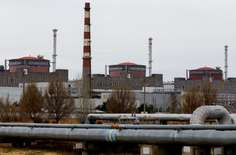 U.N. watchdog optimistic about Ukraine nuclear plant protection