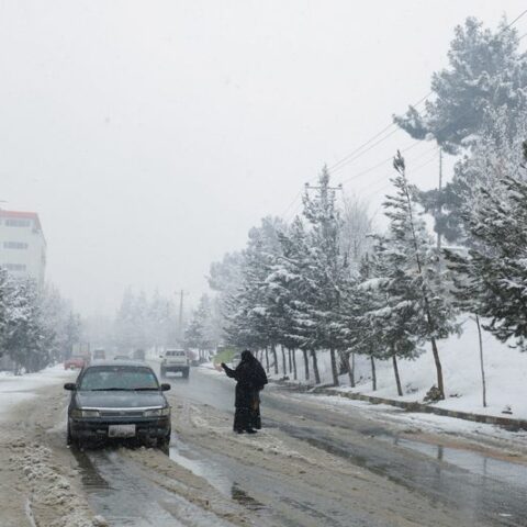 Some un afghan aid delivered by men only, donors voice alarm - photo licensed by shore news network.