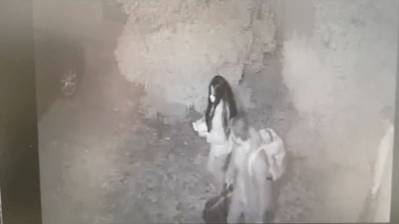 They wined, dined and fled - but law finally catches up with Spain wine thieves