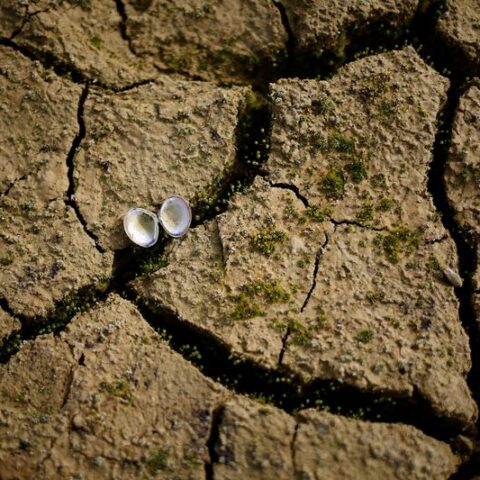Supreme court hears pivotal water rights case as drought grips western states - photo licensed by shore news network.