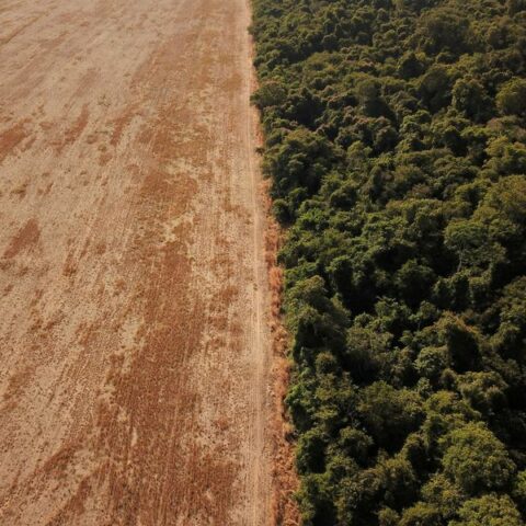 Deforestation in brazil's amazon rises in march - photo licensed by shore news network.