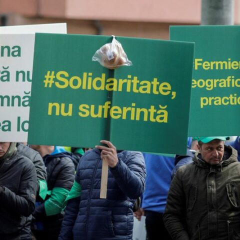 Ukraine farmers say protests in eu over ukrainian grain are political - photo licensed by shore news network.