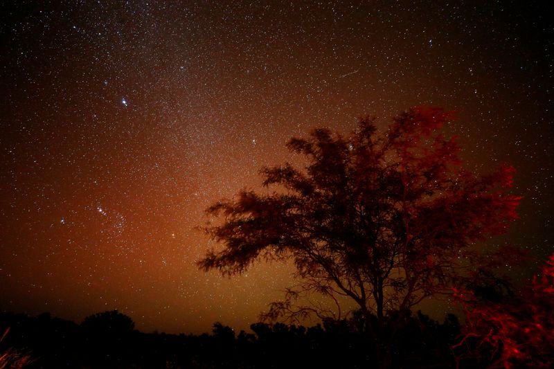 In South America's remote Chaco, deforestation uproots natural rhythms