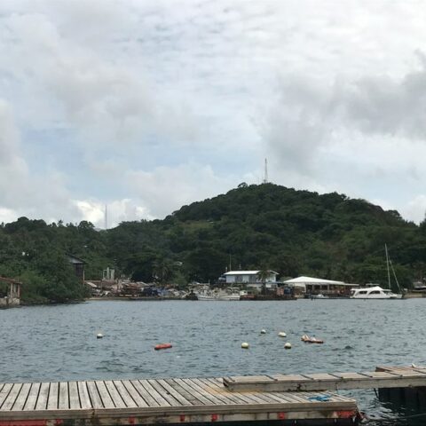 Us to sign strategic pacts with two pacific states, hopes for third in weeks - photo licensed by shore news network.