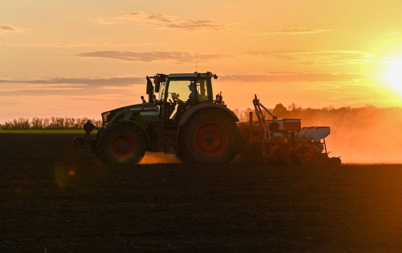 Explainer-What is Russia's problem with the Black Sea grain deal?