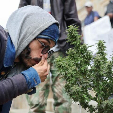 Hochul announces $200 million for marijuana equity fund - photo licensed by shore news network.