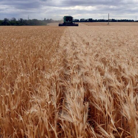 Un says ideas 'floated' on how to get ukraine, russia grain to world - photo licensed by shore news network.