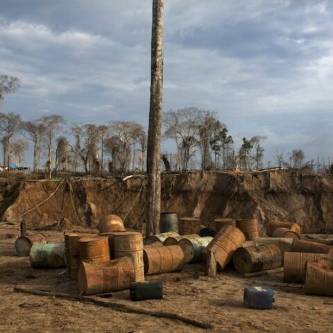 'narco-deforestation' in focus at upcoming summit of amazon nations - photo licensed by shore news network.