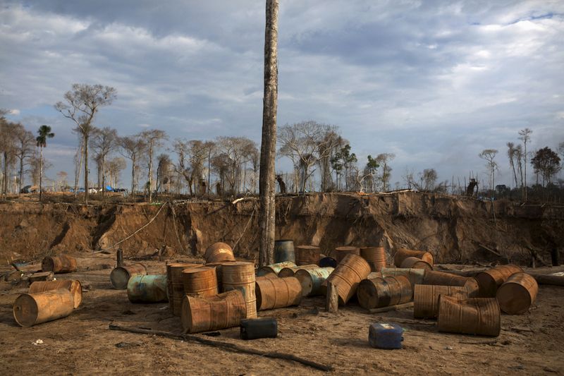 'Narco-deforestation' in focus at upcoming summit of Amazon nations