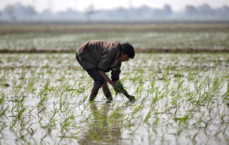How El Nino threatens emerging market economies