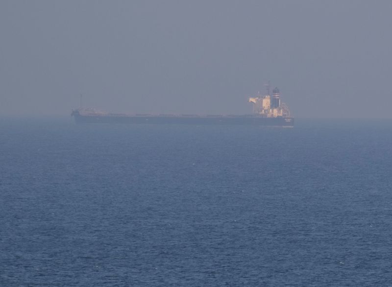 Ukraine announces 'humanitarian corridor' for ships stuck in Black Sea ports