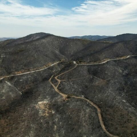 Greece wildfire destroys area bigger than new york city - photo licensed by shore news network.