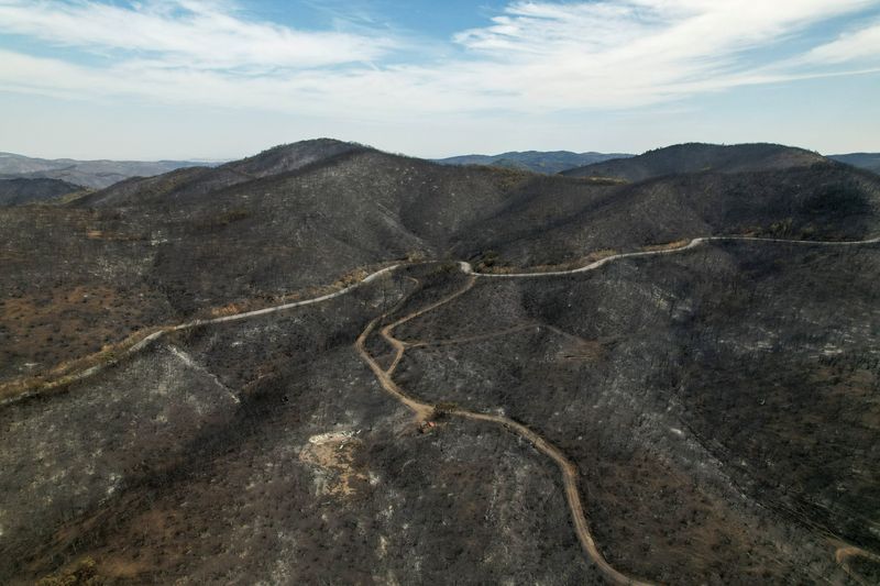 Greece wildfire destroys area bigger than New York City