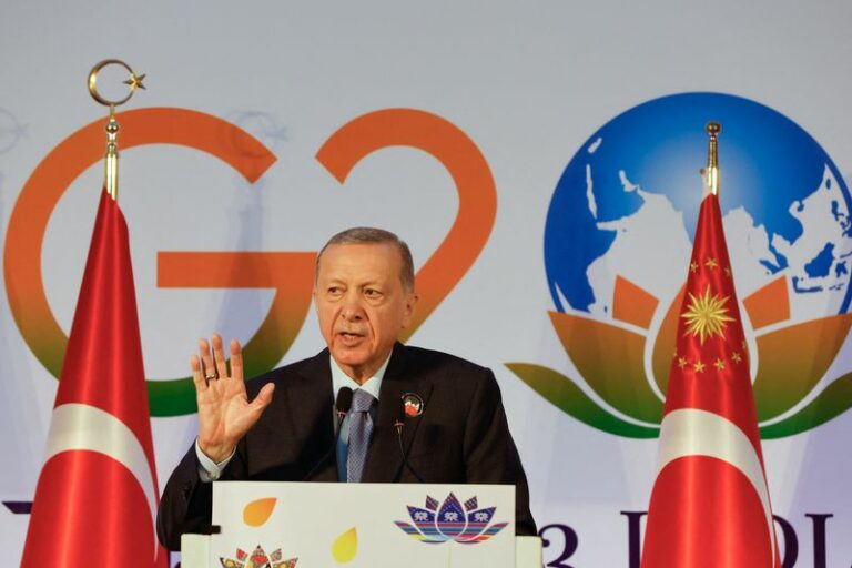Turkey's erdogan says west must do their part to revive black sea grain deal -media - photo licensed by shore news network.