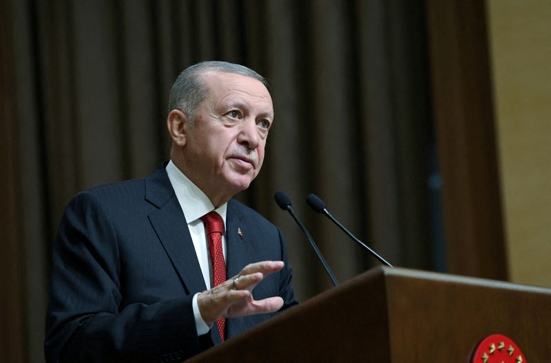 Erdogan says Turkey could 'part ways' with EU if necessary