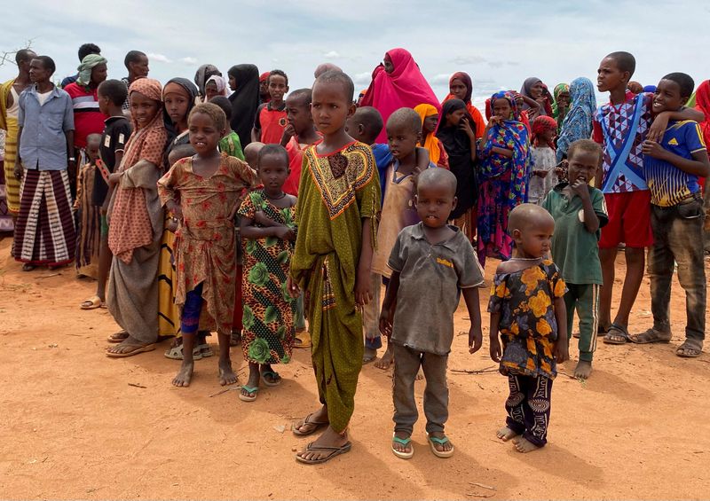 EU temporarily holds back food aid in Somalia after UN finds widespread theft
