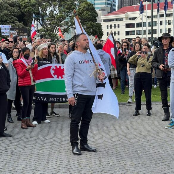 New zealanders gather across country to protest new policies - photo licensed by shore news network.