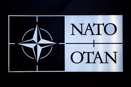 US senators to visit Hungary pushing Sweden's NATO bid