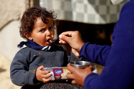 UN food agency pauses deliveries to the north of Gaza