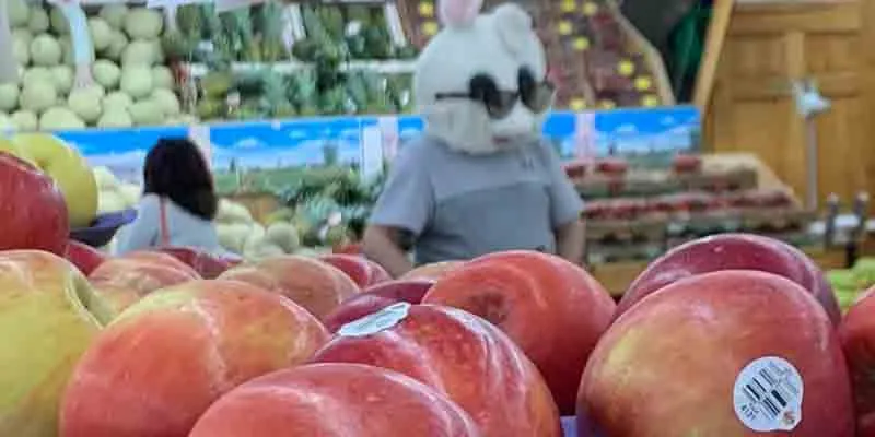 Murphy Said All Customers Must Wear a Mask in Grocery Stores, So He Did Murphy Said All Customers Must Wear a Mask in Grocery Stores, So He Did