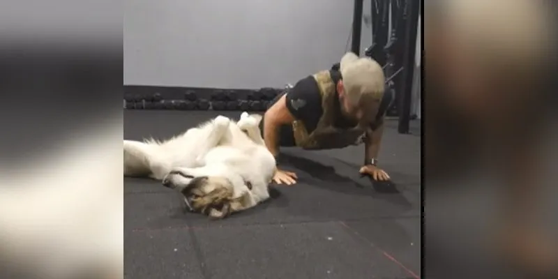 The Daily Cute: This dog wants absolutely nothing to do with his workout Dog
