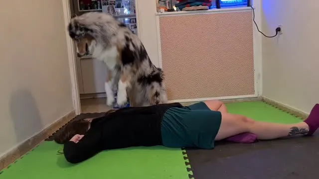 Daily Cute: Pooch administers CPR after mom faints C Rkb.OvCc .1