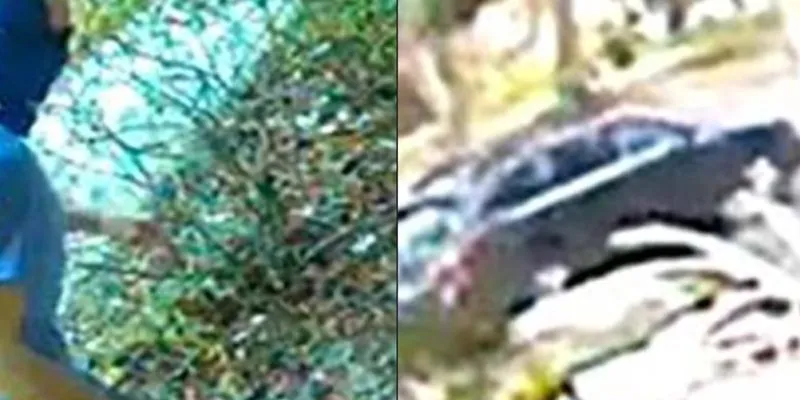 Porch Pirate Season Officially Begins in Charelston County Porch Pirate Season Officially Begins in Charelston County