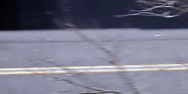 Somebody just painted a blue line in Downtown Toms River, Official says Somebody just painted a blue line in Downtown Toms River, Official says