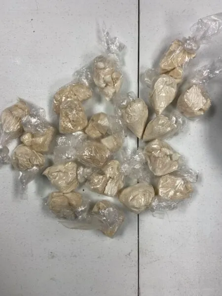 Daytona Beach drug sweep nets over half-kilo of illegal drugs Daytona Beach drug sweep nets over half-kilo of illegal drugs