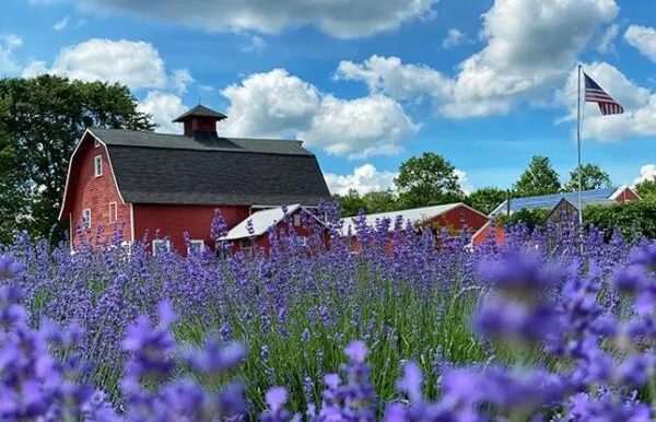 Five great spots in New Jersey to take the entire family this spring Five great spots in New Jersey to take the entire family this spring