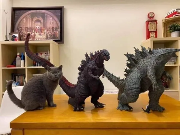 Reddit Pic of the Day: Godzilla Cat Reddit Pic of the Day: Godzilla Cat