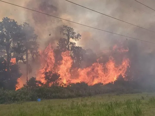 Hillsborough Fire Rescue contained wild brush fire before spreading Hillsborough Fire Rescue contained wild brush fire before spreading