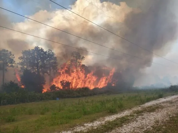 Hillsborough Fire Rescue contained wild brush fire before spreading Hillsborough Fire Rescue contained wild brush fire before spreading