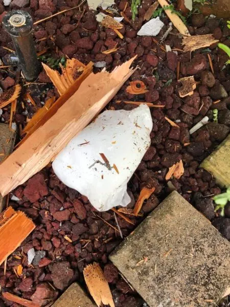 Soccer ball sized block of ice falls from sky through roof of Florida home Soccer ball sized block of ice falls from sky through roof of Florida home