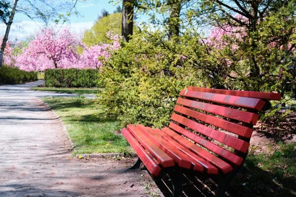 Man sitting on park bench in Columbus shot by stray gunfire Man sitting on park bench in Columbus shot by stray gunfire