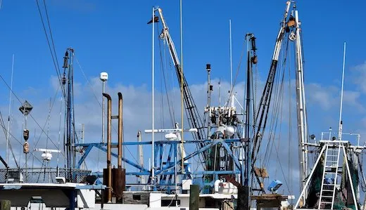 Senate Approves Testa Bill Exempting Commercial Fisherman from State Unemployment Tax Senate Approves Testa Bill Exempting Commercial Fisherman from State Unemployment Tax