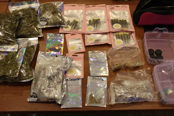 Two Gulf County drug dealers busted Two Gulf County drug dealers busted