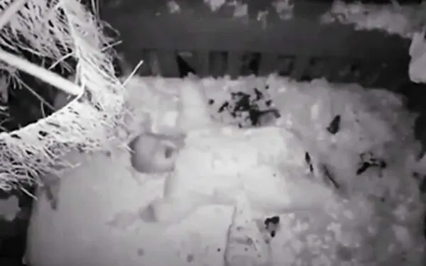 Caught on video: Tree falls on baby crib, captured on baby monitor Caught on video: Tree falls on baby crib, captured on baby monitor