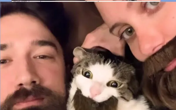 This cat loves dad's beard, so mom starts wearing fake beard to get some cuddle time This cat loves dad's beard, so mom starts wearing fake beard to get some cuddle time
