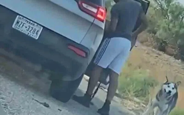 A heartbreaking tale of Husky abandoned on highway has an amazing ending A heartbreaking tale of Husky abandoned on highway has an amazing ending