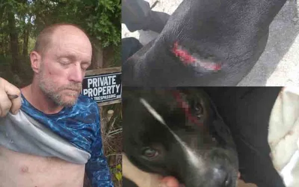 Florida man facing animal cruelty charges after slashing dog with machete multiple times Florida man facing animal cruelty charges after slashing dog with machete multiple times