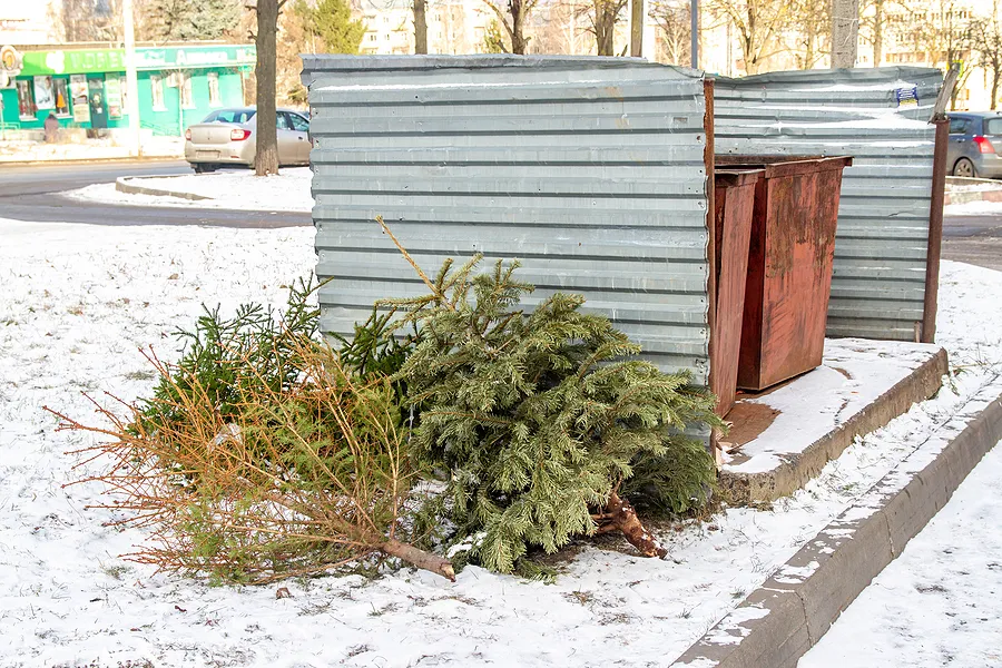 Here's where you can bring your Christmas Tree for disposal in Ocean County Here's where you can bring your Christmas Tree for disposal in Ocean County