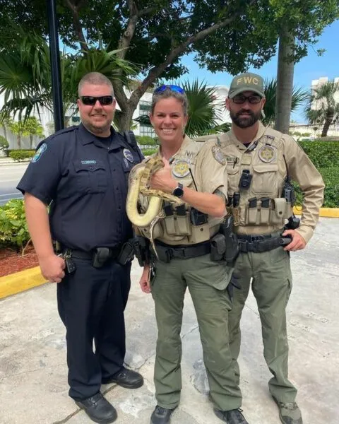 Woman shocked after finding snake on dashboard of rental car Woman shocked after finding snake on dashboard of rental car
