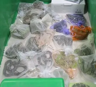 Is that a snake in your pants? Border officers find 52 reptiles in man's clothing U.S. Customs and Border Protection officers at the San Ysidro port of entry thwarted a significant smuggling attempt after discovering 52 reptiles, tied up in small bags and hidden in and under a man’s clothing as he tried to cross the border into the U.S.