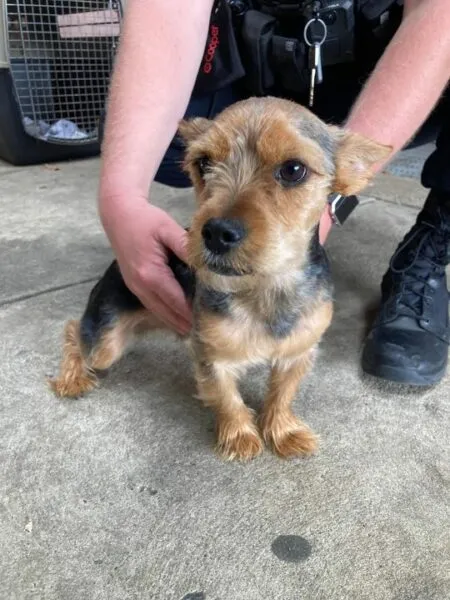 Do you know this guy? He was Found on the Loose in Monroe Do you know this guy? He was Found on the Loose in Monroe