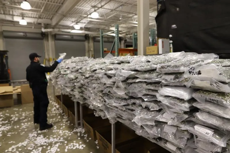 CBP Intercepts Ton of Marijuana at Detroit Cargo Facility Marijuana seized May 11