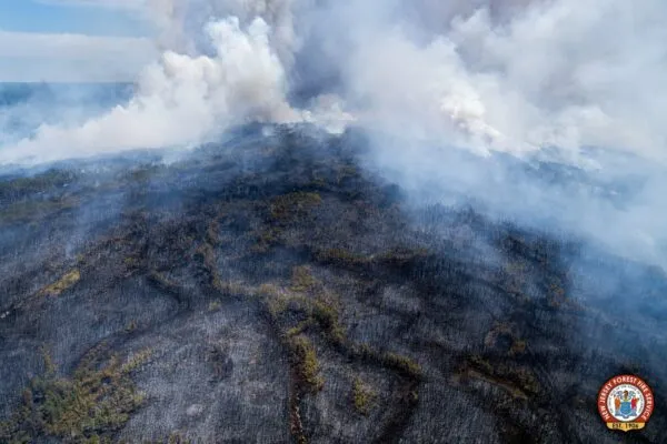PHOTOS: South Jersey Forest Fire Burns 13,500 Acres, State Says 95% Contained PHOTOS: South Jersey Forest Fire Burns 13,500 Acres, State Says 95% Contained